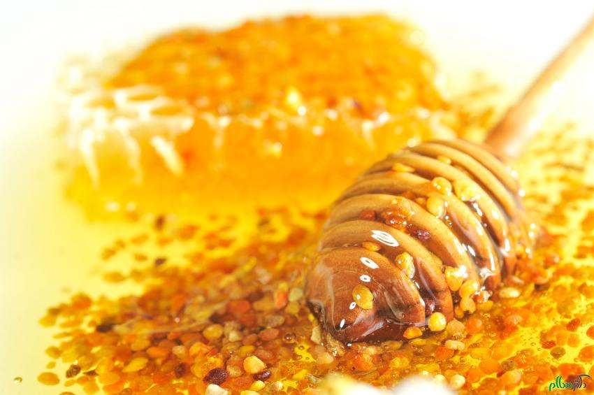 تصویر 2 از عسل کوهی تازه برداشت با عطر طبیعی